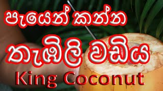 King Coconut පැයෙන් කන්න රසම රස තැඹිලි වඩිය king    recipe  wine
