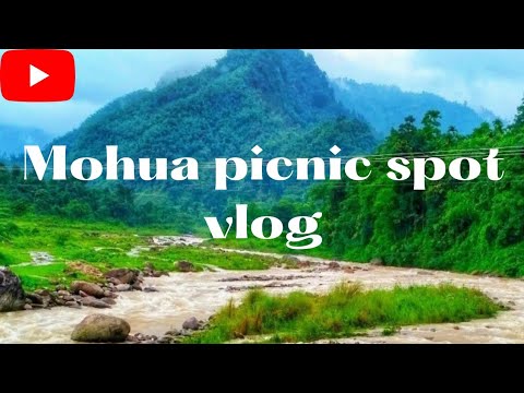 MOHUA PICNIC SPOT TRAVEL VLOG mohua  vlogs