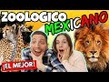 CONOCEMOS EL MEJOR ZOOLÓGICO DE TODO MÉXICO!