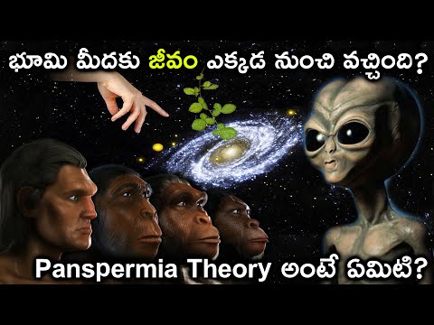 భూమి మీదకు జీవం ఎక్కడ నుంచి వచ్చింది? Panspermia Theory Of Origin Of Life | Panspermia Hypothesis