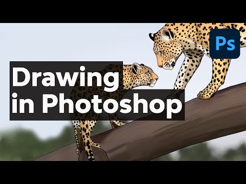 How to Draw