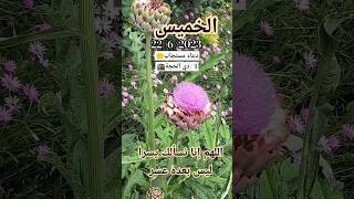 دعاء يوم الخميس اليوم الرابع من عشر ذي الحجة?لي ولكم#عشر_ذي_الحجة #اللهم_آمين ?