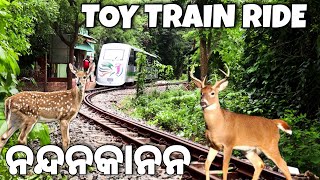 NandanKanan | Zoological Park | Toy Train | #odiavlog