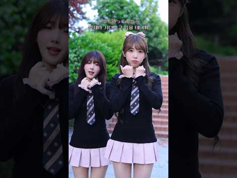 이치고푸린 손댄스버전