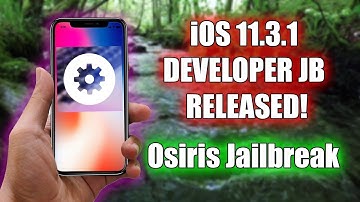 iOS 11.3.1 DEVELOPER JAILBREAK RELEASED! + 11.3.1 PUBLIC JB NEWS