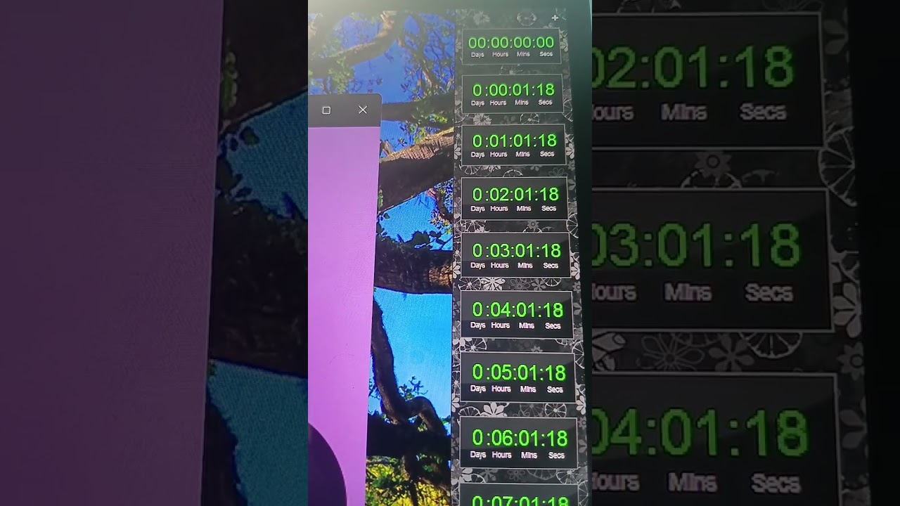 ПЕТРОПАВЛОВСК-КАМЧАТСКИЙ И МСК+9 С ДНЕМ РОЖДЕНИЯ Д.Т 🎆 🎇 🎉 🎆 🎇 🎉 
