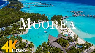 Moorea 4K - Scenic Relaxation Film With Inspiring Cinematic Music and  Nature