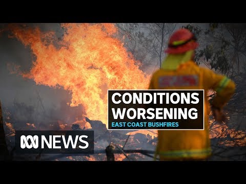 Around 500 schools to shut as NSW braces for catastrophic fire risk | ABC News