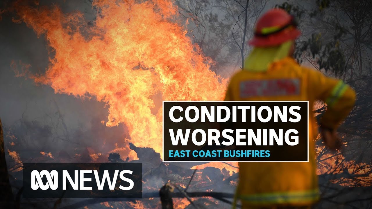 Around 500 schools to shut as NSW braces for catastrophic fire risk | ABC News