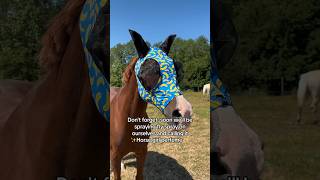 Eau de horse 💕✨#equestrian #horse #pony #horses #horseriding #summer #rider