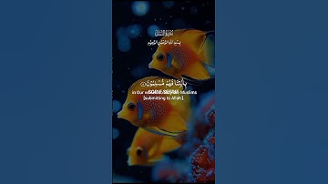 قرآن كريم سورة النمل #سورة #لايك #اكسبلور #راحة_نفسية