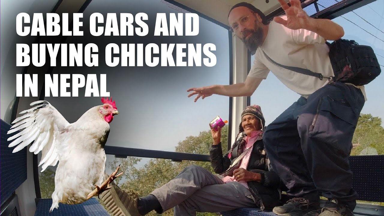 Nepal live chicken buying adventure in Pokhara Sarangkot Nepal! YouTube