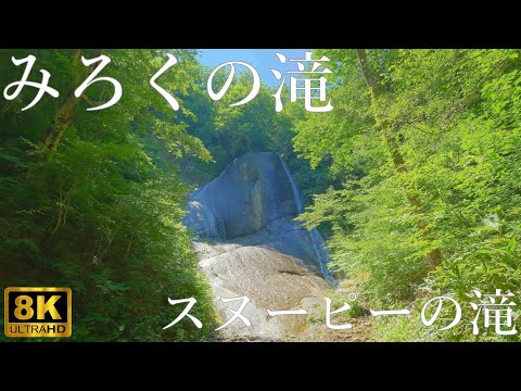 【弥勒の滝】スヌーピーの滝 初夏の風景【青森県田子町】8K
