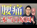 治療してもよくならない？その腰痛の本当の原因とおすすめの治療方法とは　｜京都市北区　もり鍼灸整骨院
