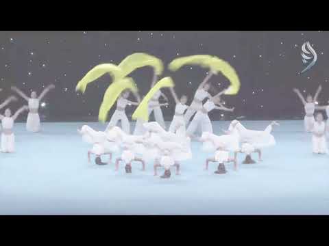 HELLAS GYM FESTIVAL