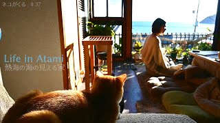 #37 熱海の海の見えるカフェで朝ヨガ｜あいぞめ珈琲店｜Life in Atami