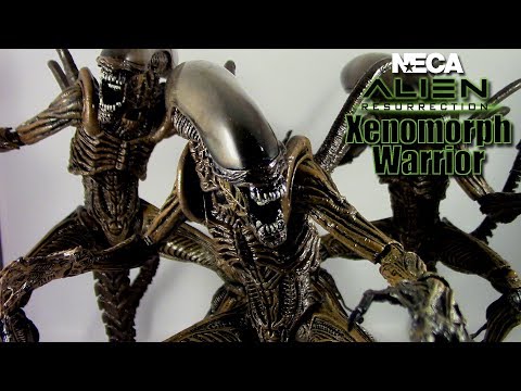 Neca Alien Resurrection Xenomorph Warrior Review Youtube