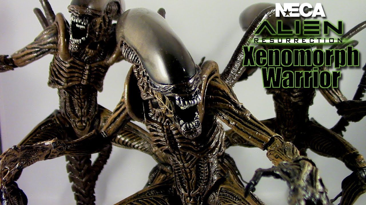 Neca Alien Resurrection Xenomorph Warrior Review - neca alien resurrection xenomorph