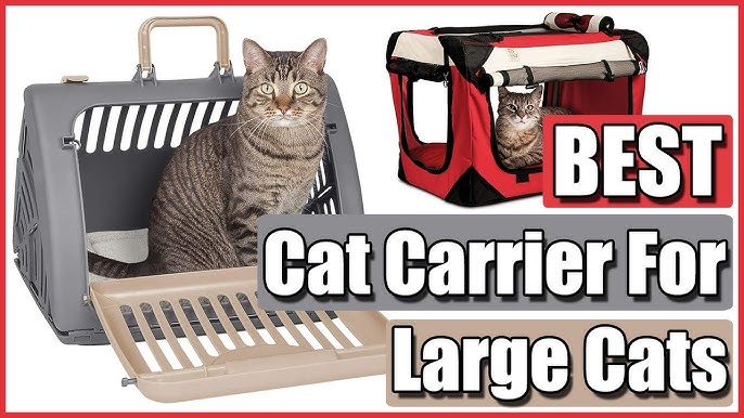 Ragdoll Cat Carrier  The Best Travel Cat Carrier of 2023