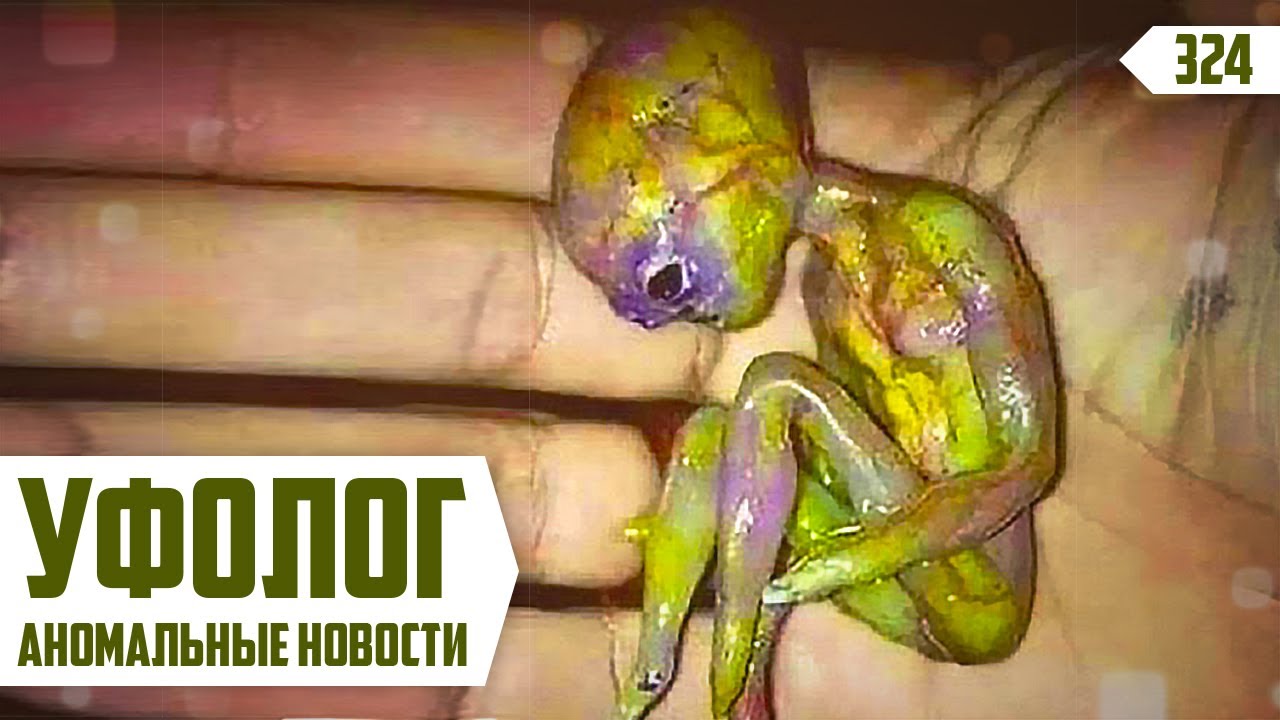 ПРИШЕЛЬЦА НАШЛИ В РОССИИ / Инопланетяне Покидают Зону 51 (Аномальные Новости 2019)