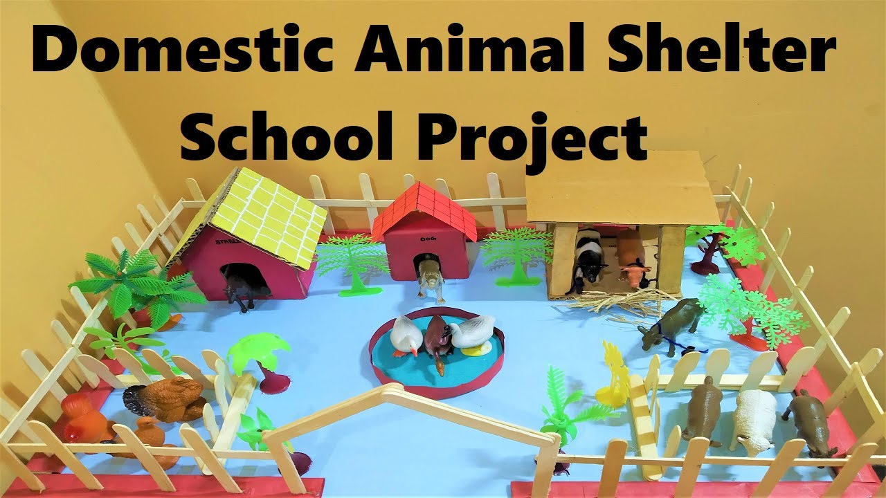 animal farm project ideas