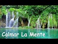 Música Relajante Antiestres Para Calmar La Mente - Música Para Reducir La Ansiedad (7)