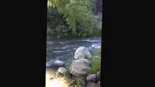 Gila River Flow, August 2015