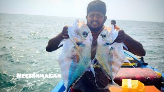 catching in sea fish in deep sea trevally fish rad snapper like share comment views short