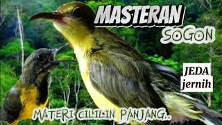 MASTERAN SOGON MATERI CILILIN PANJANG Ampuh..