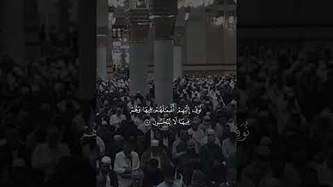 مقتطف من تلاوة فضيلة الشيخ #عبدالباري_الثبيتي من صلاة الفجر 24 جمادى الآخرة 1447هـ