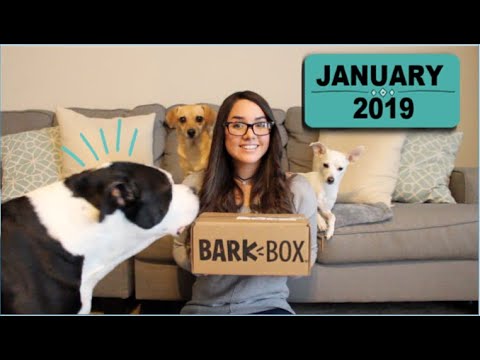 barkbox-january-2019-unboxing---extra-toy-club
