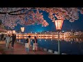 Springtime in Countryside Japan 🇯🇵 | We Chased Cherry Blossoms... Was It Worth It?