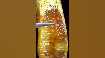 honey collection macro asmr #closeup #macro #asmr #satisfying #closeup #macro video #viral