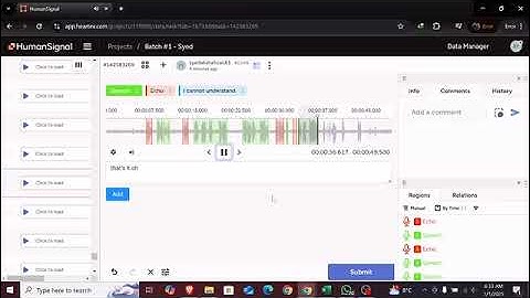 Audio Labeling & Transcription Sample | Label Studio | Echo + Speech Chunk Annotation (Portfolio)