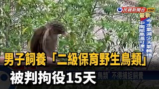 男子飼養「二級保育野生鳥類」 被判拘役15天－民視新聞 