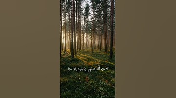 #سورة_غافر من الشيخ #ياسرالدوسري ||❤️ #قرآن #اكسبلور #explore #like #quran #fyp #edit #duet