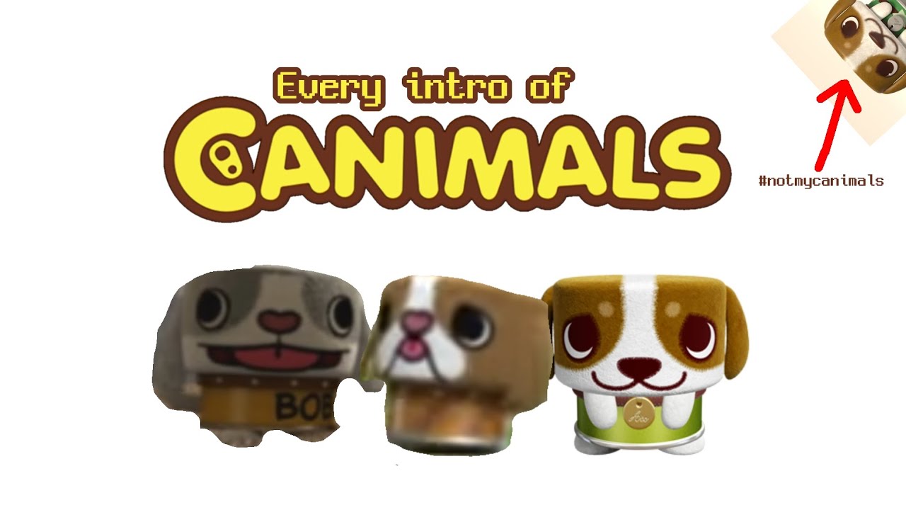 Every Canimals Intro (2008-2017?)