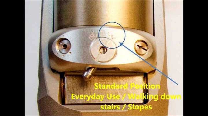 VGK Prosthetic Knee - PATIENT SETTINGS Video