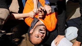 Famous Is Michelle Malkin a Jihadist for Fascism? Profile