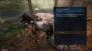 My Kingdom For A Horse - MOUNT MISSION LOCATION - New World 