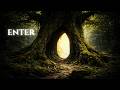 Enter the Hollow Tree 🍃 Celtic Ambient Music | Deep Forest Escape