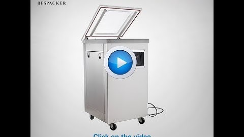 DZ-600 vacuum sealer with gas flush