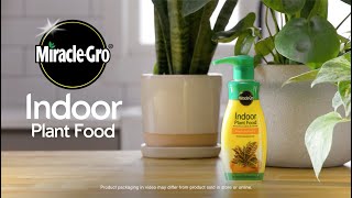 How to Use MiracleGro Indoor Plant Food