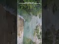 COOL OASIS IN EASTERN ST.THOMAS JAMAICA ||UNDER HORSE SAVANNAH BRIDGE