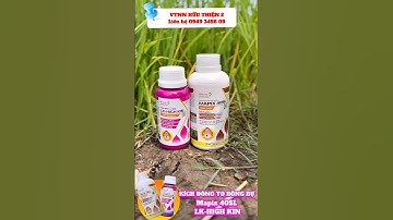 Mapix 40sl và lk high kin Kích đồng to bông bự