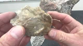 Minerals with Willsey: Micas