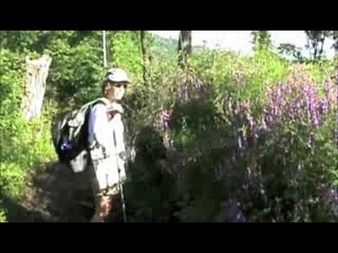 Vidéo: Robert Louis Stevenson State Park : Le guide complet