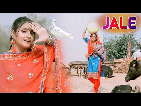 2026 में DJ पर आग लगा देगा ये गाना ! New Haryanvi Superhit Songs ! Popular Haryanvi Songs 2026