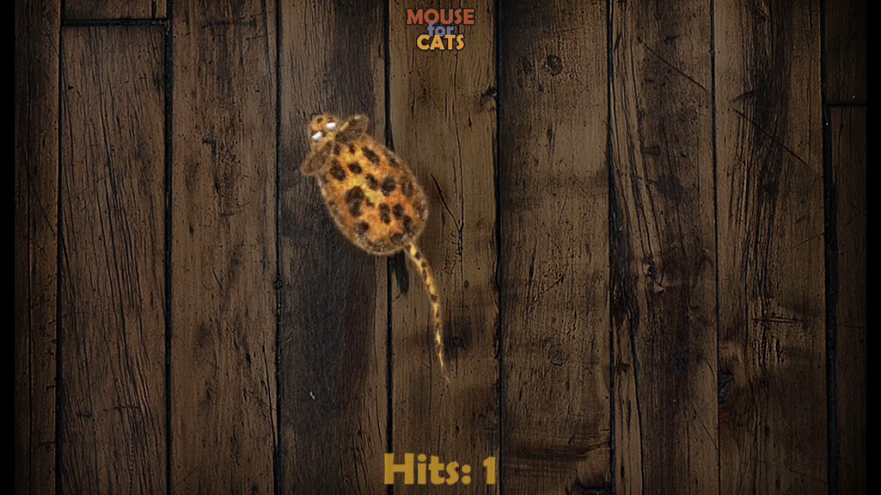 Video For Cats Mouse For Cats Ipad Game For Cats App Youtube