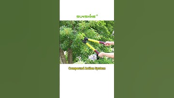 Effortless Gardening: Branch Trimming with Our Garden Lopper #gardeningtools #gardening #pruning